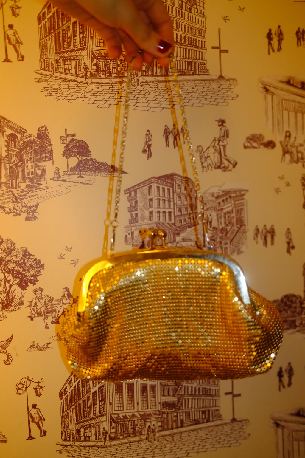 Vintage Gold Chainmail Clutch (Vintage 1920's)